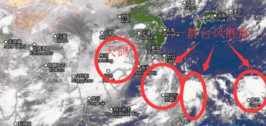 天鴿臺(tái)風(fēng)的最新消息，影響與應(yīng)對(duì)措施