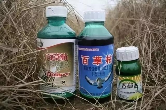 最新百草枯膠劑價格動態(tài)分析