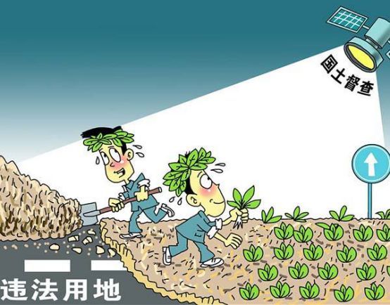 最新土地法修正法草案，重塑土地管理的新篇章