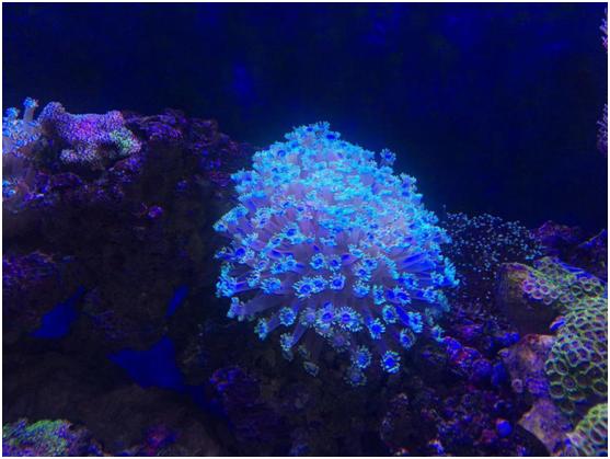 我的世界最新版的游戲，探索與創(chuàng)新的奇妙世界