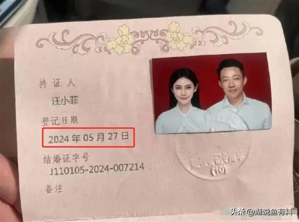 閃婚愛妻小說最新章節(jié)，命運的邂逅與愛情的急速綻放