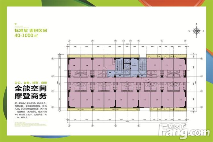定州泰豐國際最新消息全面解析
