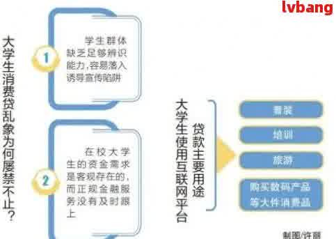 最新大學(xué)生網(wǎng)貸新聞，探索與反思