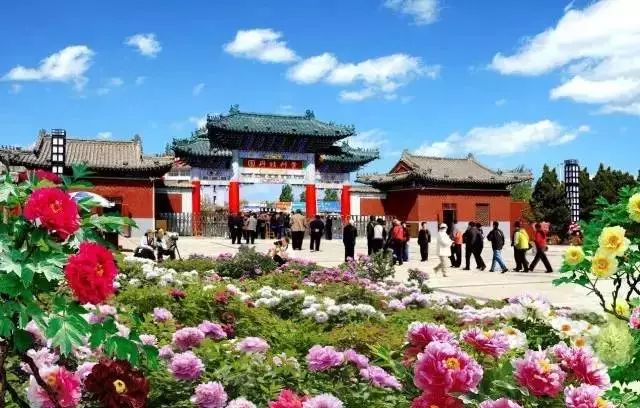 菏澤牡丹區(qū)最新消息，繁榮與發(fā)展并進(jìn)的牡丹之都