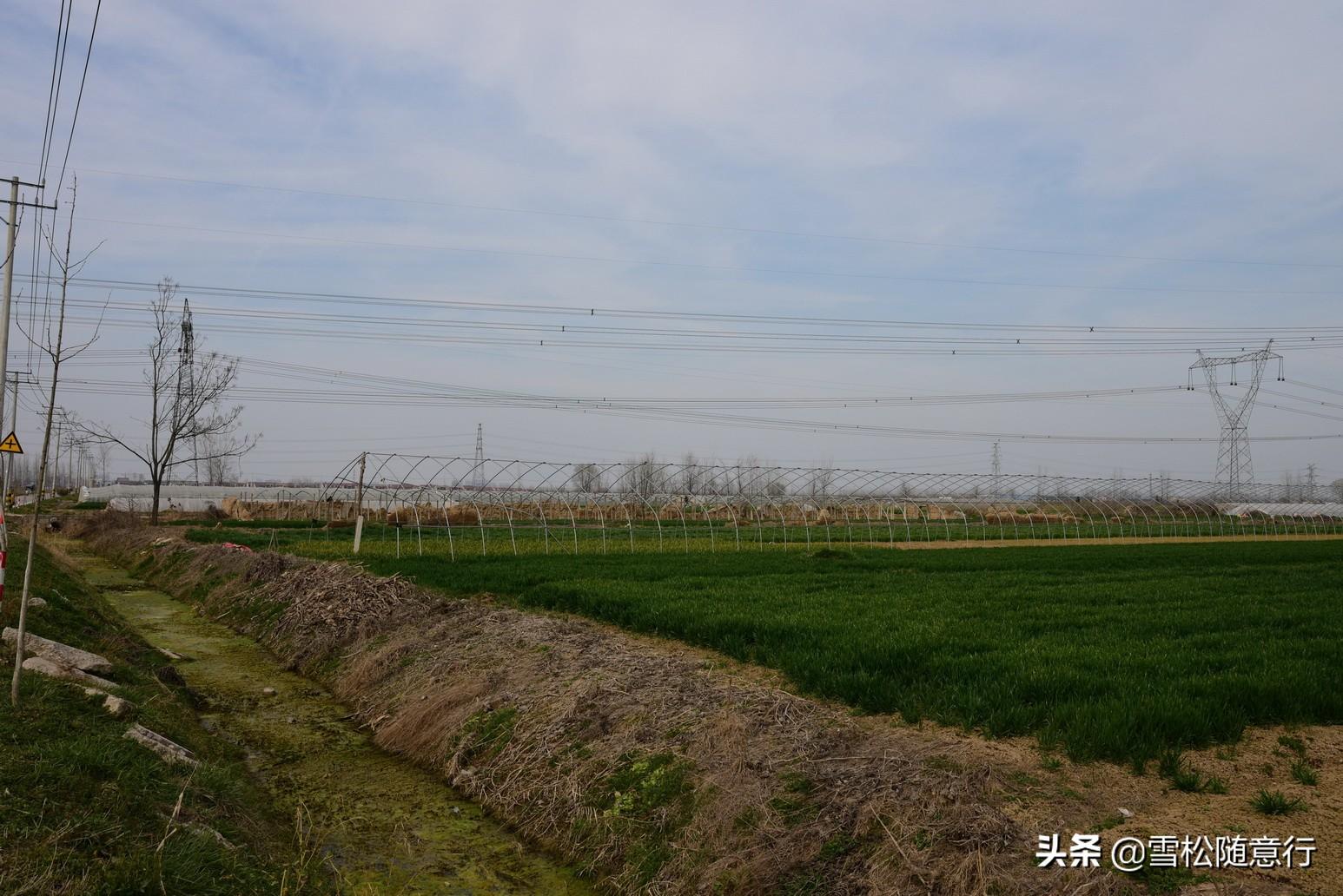 徐州棠張規(guī)劃最新消息，城市發(fā)展的藍圖與未來展望