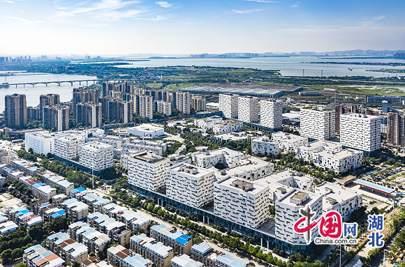 成都西河鎮(zhèn)最新消息，蓬勃發(fā)展中的新篇章