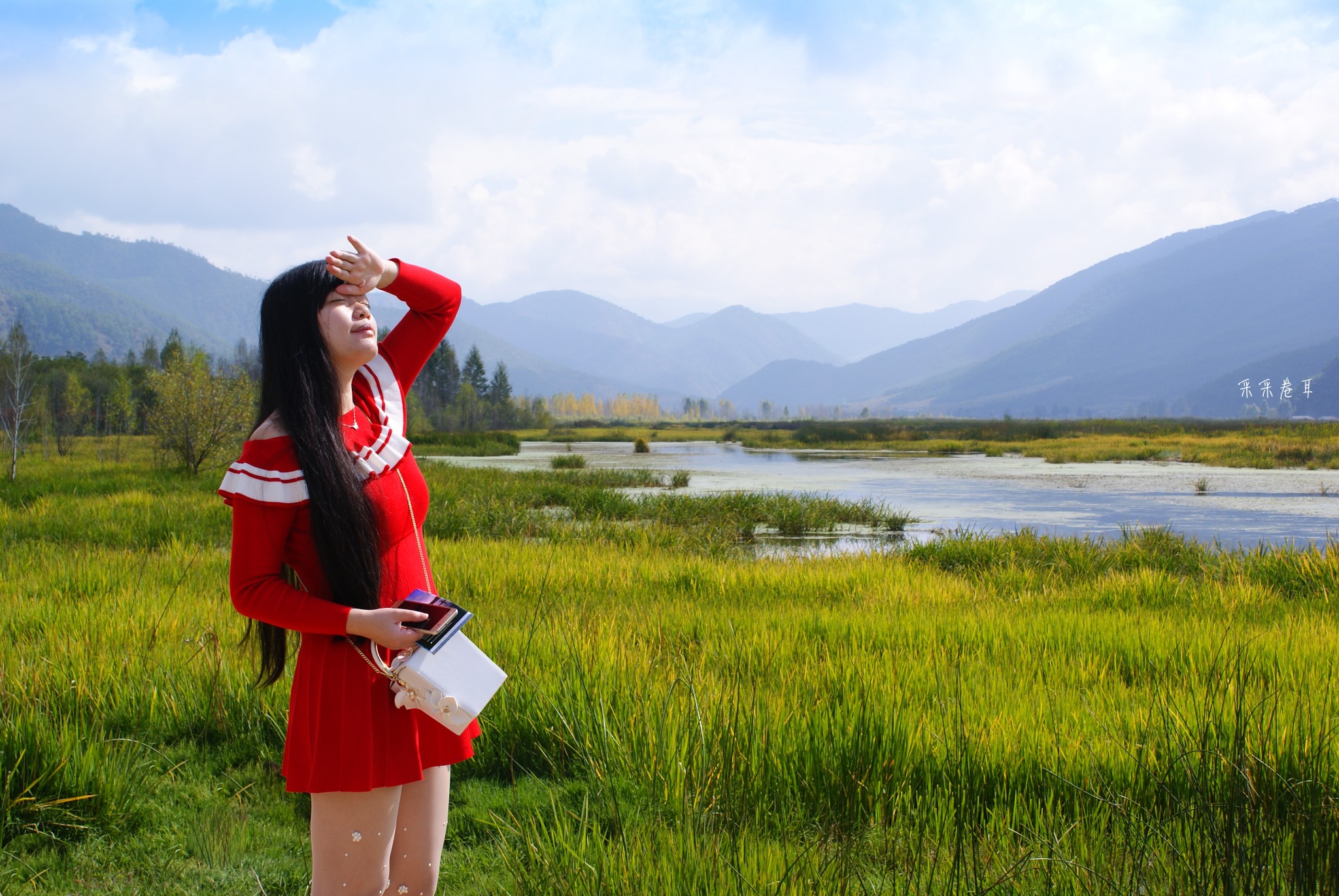 草裙論壇最新地址2015，探索與發(fā)現(xiàn)之旅