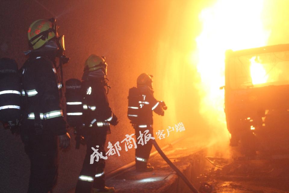 胡希若宸 第2頁