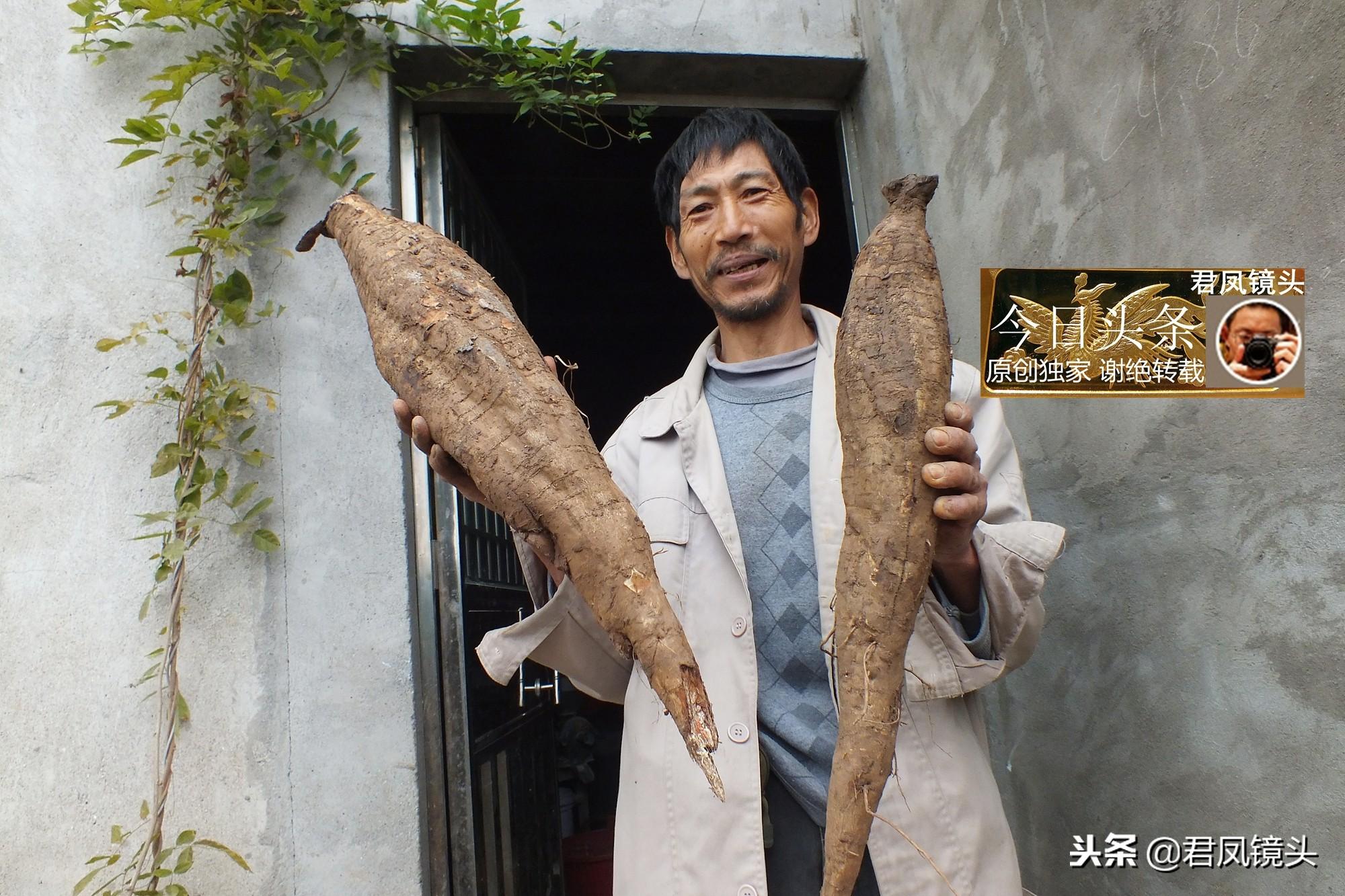 宜昌市龍泉鎮(zhèn)最新規(guī)劃，塑造未來城市新面貌