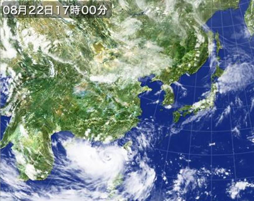 臺風天鴿香港最新消息，全方位應對與實時更新