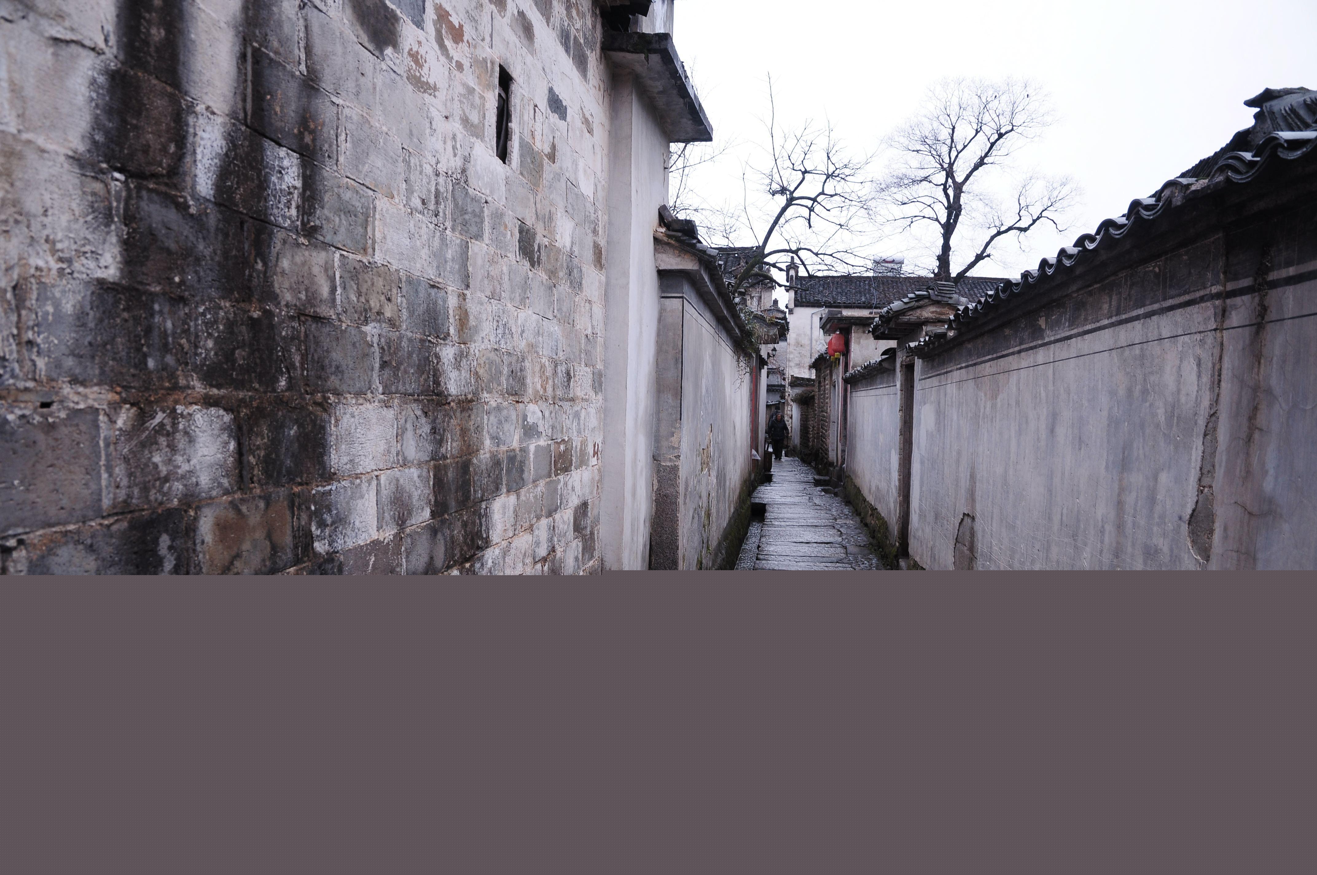 最新鄉(xiāng)村愛情9電視劇，鄉(xiāng)村生活的浪漫與真實寫照