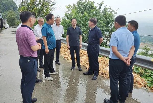 范學臣在廣元，最新消息與深度解讀