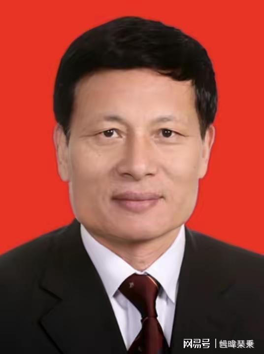 最新河南省副省長名單概述