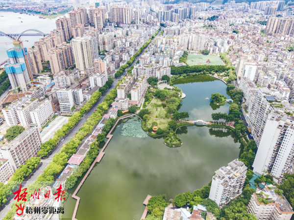 梧州零距離網(wǎng)最新新聞，城市發(fā)展的脈搏與民生熱點(diǎn)