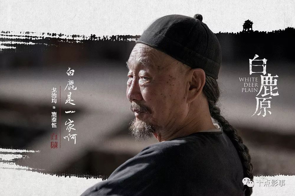 電視劇白鹿原最新評論，深度解讀與反思