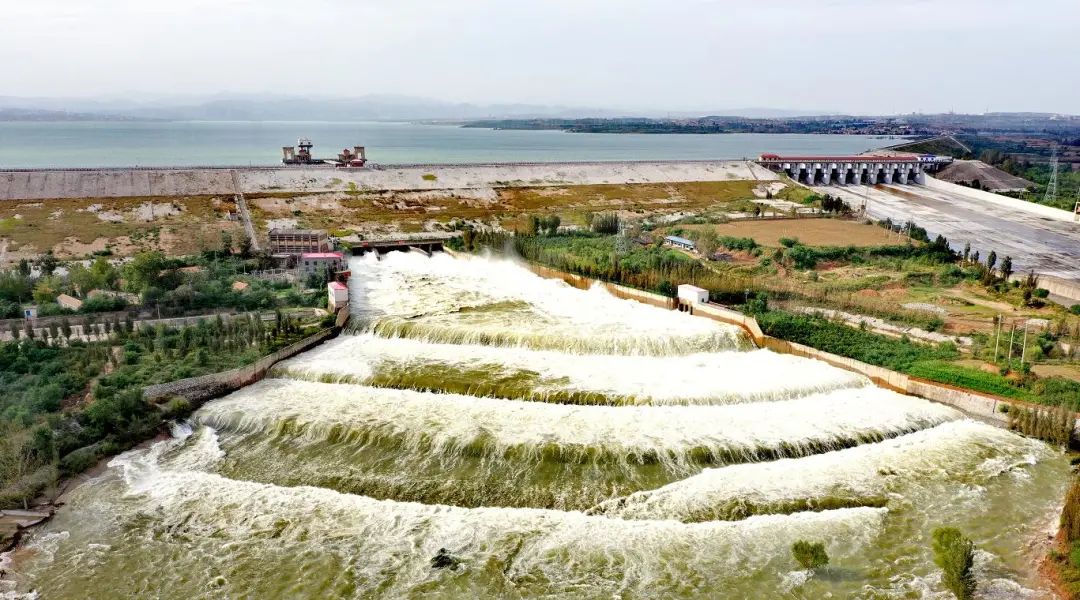 羅蕰河最新進(jìn)展，邁向生態(tài)繁榮與可持續(xù)未來的關(guān)鍵一步