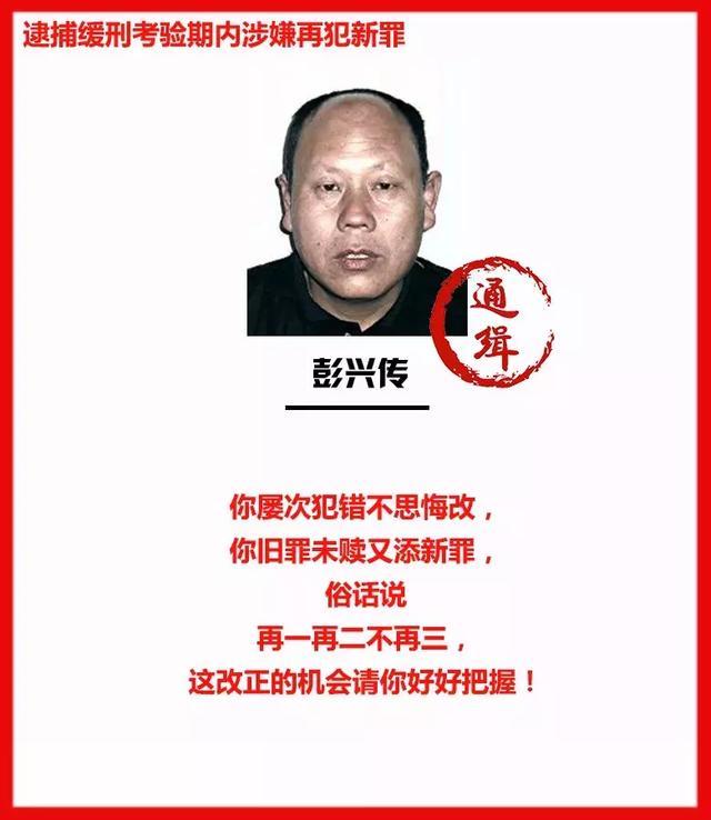 萊州公安局最新通緝令，正義與安全的守護(hù)者的堅定決心
