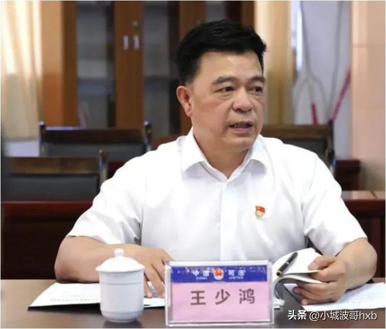 揭陽王少鴻最新消息，一位風(fēng)云人物的崛起與影響