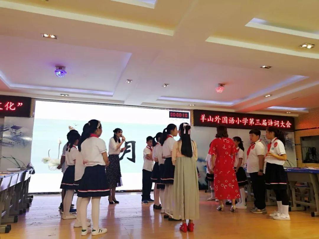 中國(guó)詩(shī)詞大會(huì)最新一期，傳統(tǒng)魅力的綻放與傳承的力量