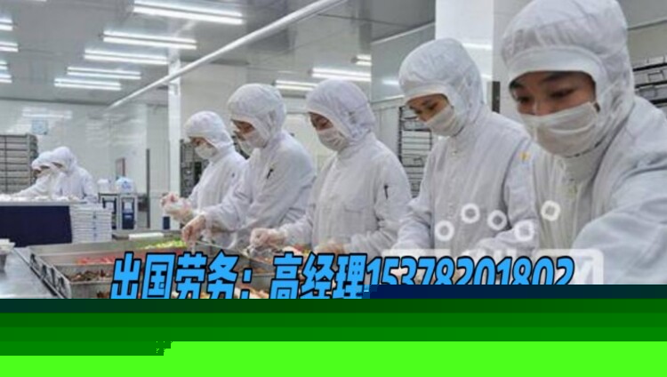出國打工招聘網(wǎng)最新招聘動態(tài)深度解析