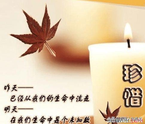 下輩子再愛你最新章節(jié)，永恒的誓言與無盡的等待