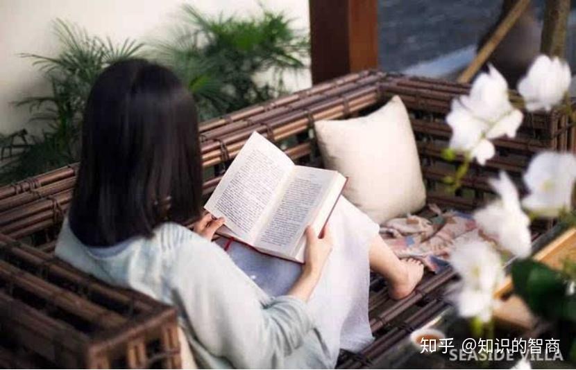 官梯最新章節(jié)快眼看書，權(quán)力與欲望的交織