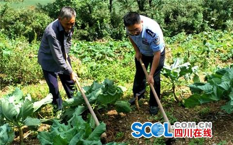 旺蒼縣天星鄉(xiāng)最新動態(tài)，蓬勃發(fā)展中的鄉(xiāng)村新面貌
