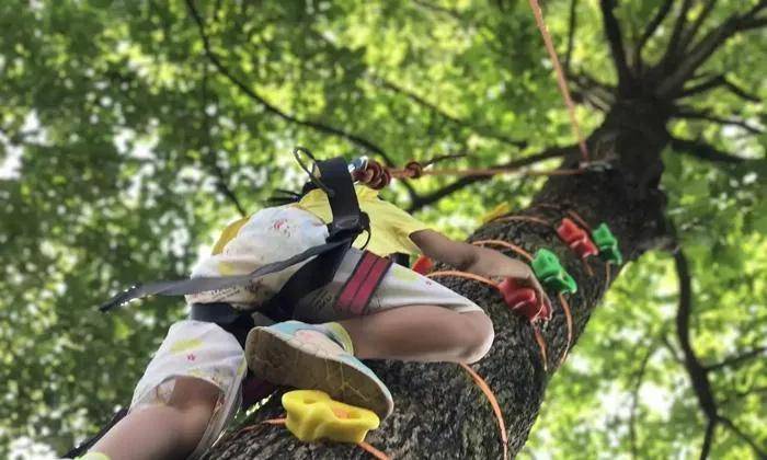 少年阿賓最新章節(jié)全文閱讀，成長之路的冒險與挑戰(zhàn)