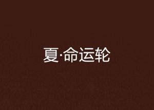 聞靜陸言小說(shuō)最新章節(jié)，命運(yùn)的轉(zhuǎn)折與情感的碰撞
