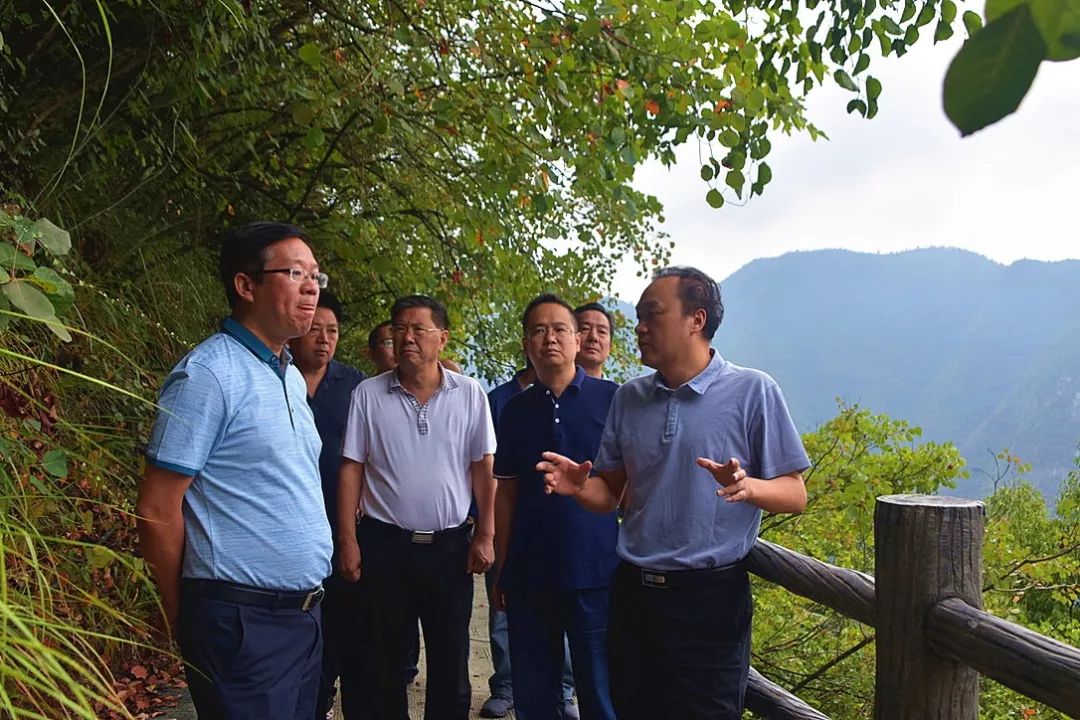 張凱若軒 第3頁(yè)