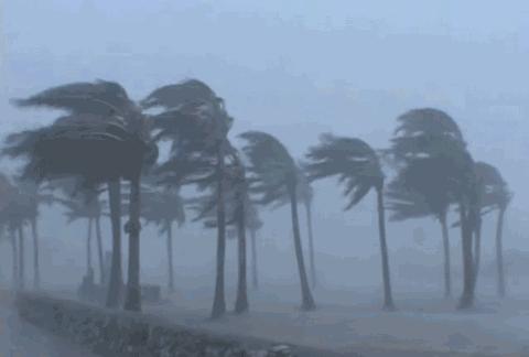 廣西四號臺風最新消息，風雨中的緊急應對與全面準備