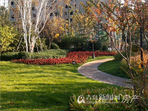 青島華胥美邦最新房價(jià)動(dòng)態(tài)分析