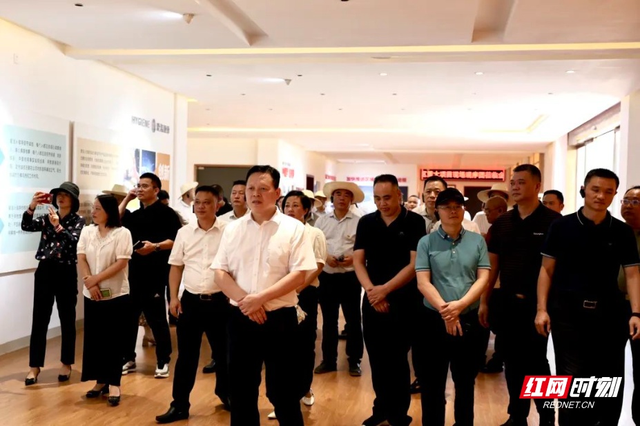衡陽(yáng)市石鼓區(qū)最新領(lǐng)導(dǎo)團(tuán)隊(duì)，引領(lǐng)地區(qū)發(fā)展的核心力量