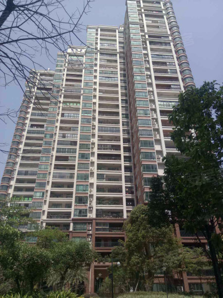 張思若睿 第2頁