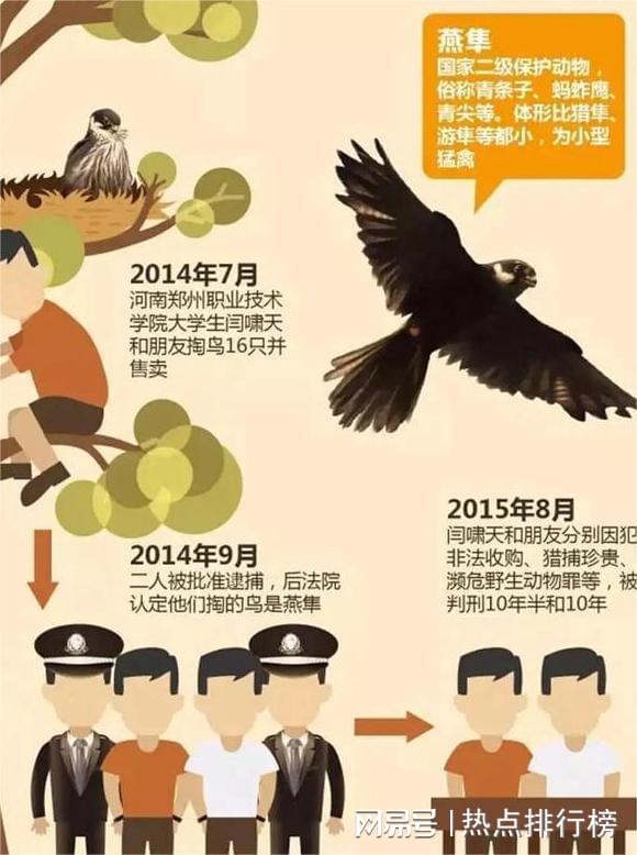 大學(xué)生掏鳥案最新結(jié)局，法律與人性的雙重審視