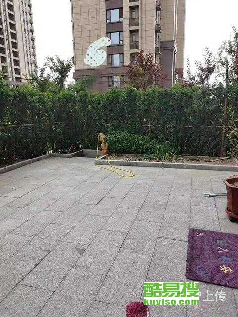桓臺百合園最新房價動態(tài)分析