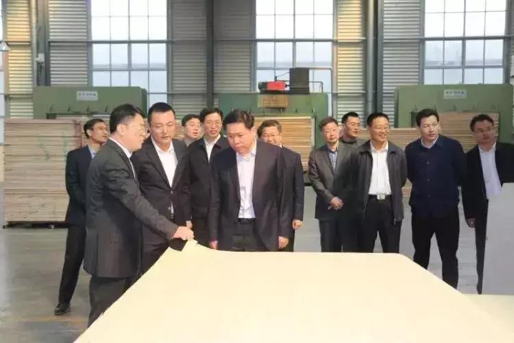 臨沂蘭山環(huán)保最新消息，綠色發(fā)展的步伐堅定前行