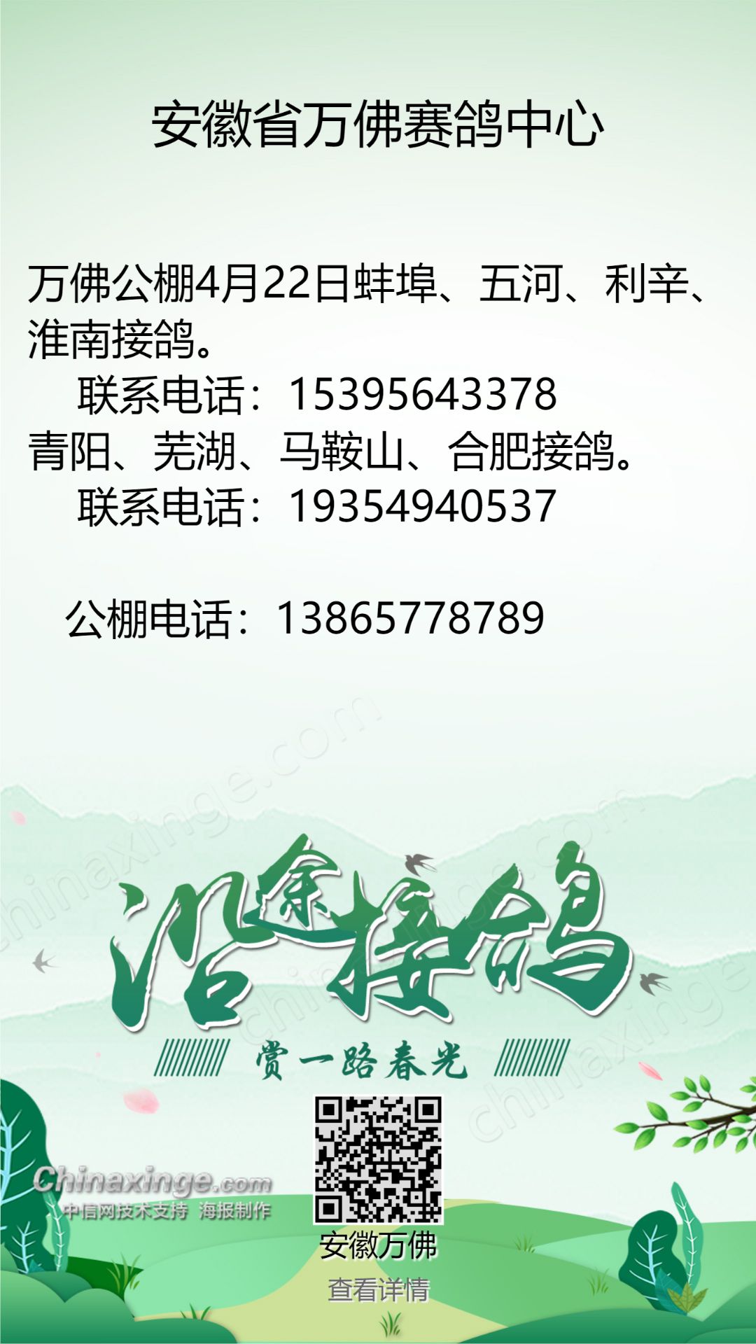 河北萬佳公棚最新公告，揭開未來發(fā)展的新篇章