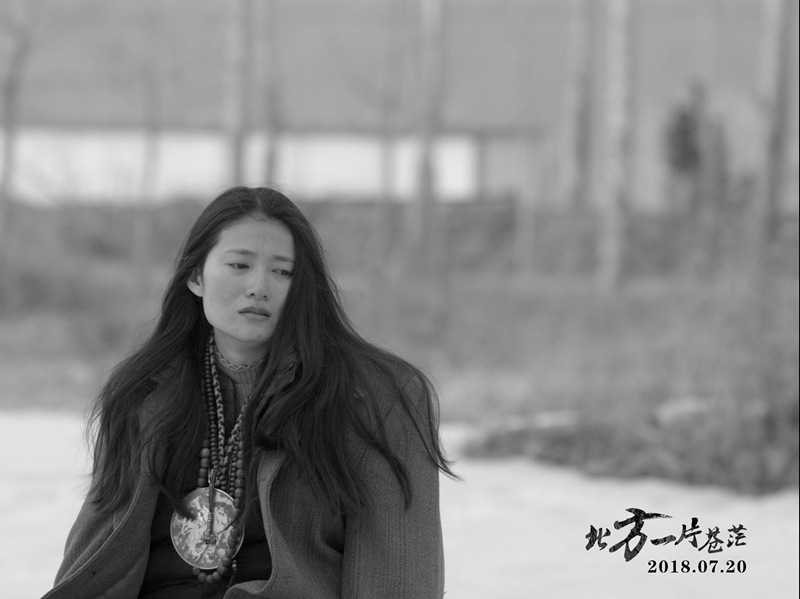 何薇聶景辰最新章節(jié)，命運(yùn)交織的旋律