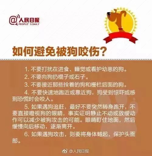 狂犬病最新新聞資訊，全球防控進(jìn)展與挑戰(zhàn)