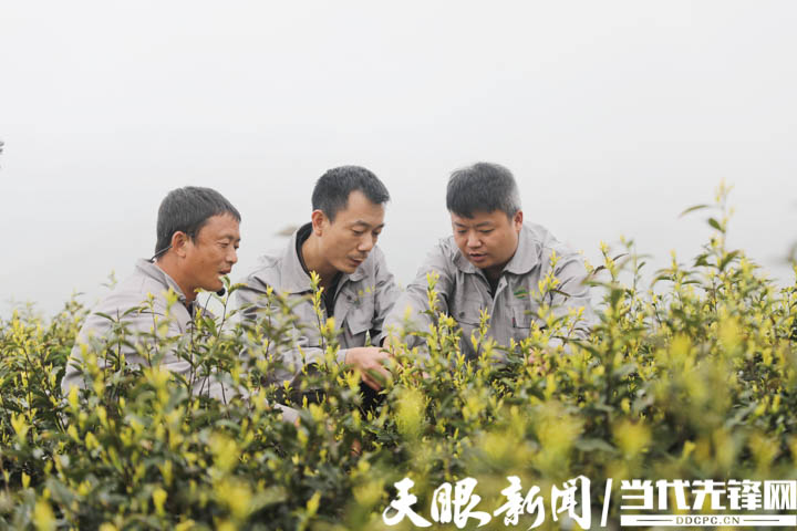 綏陽(yáng)蒲場(chǎng)最新發(fā)展情況