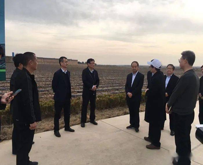 澄城魏樹槐的最新消息，探索與進(jìn)步的不懈步伐