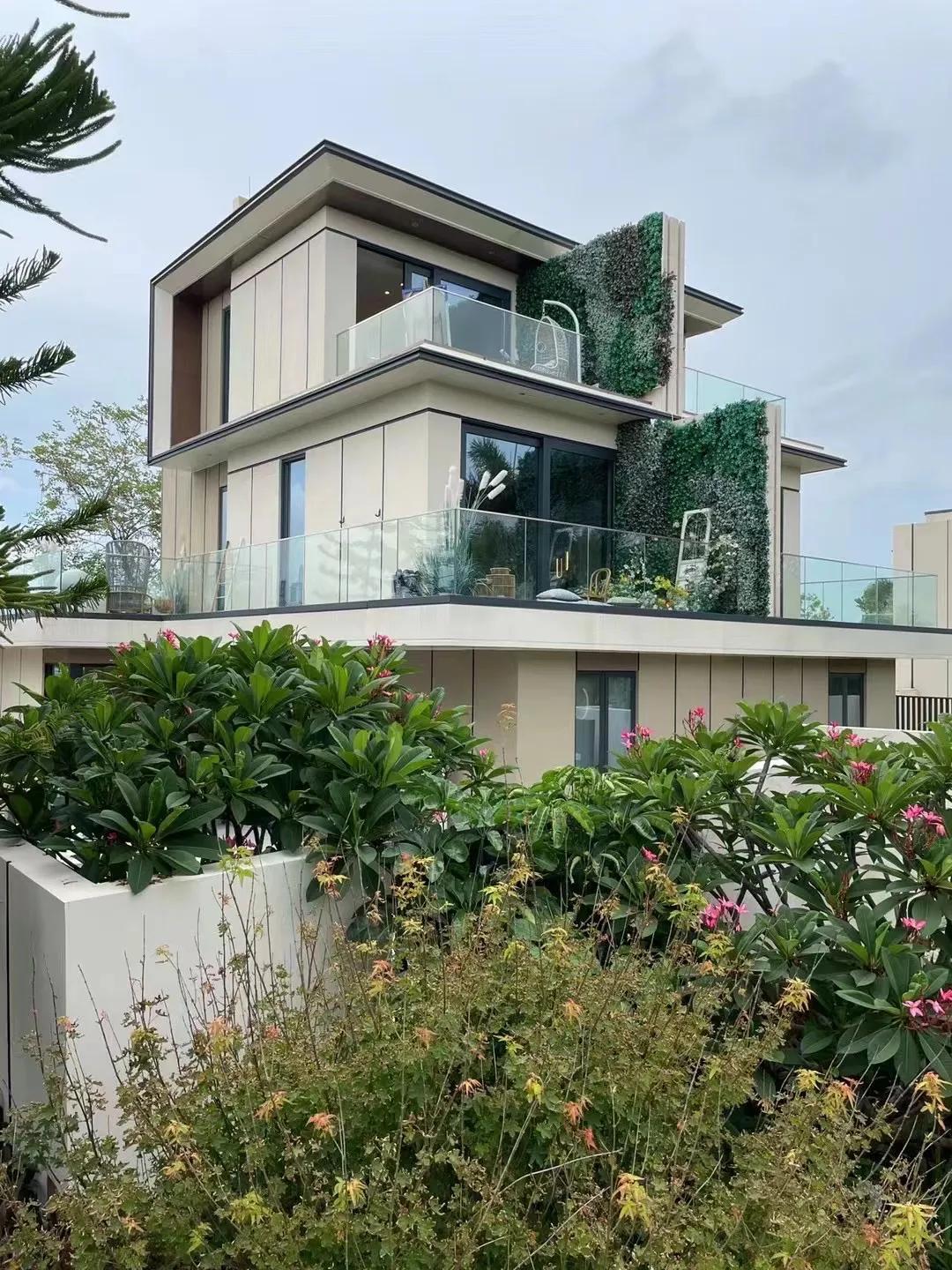 最新消息，土海濕地公園的蛻變與未來(lái)展望