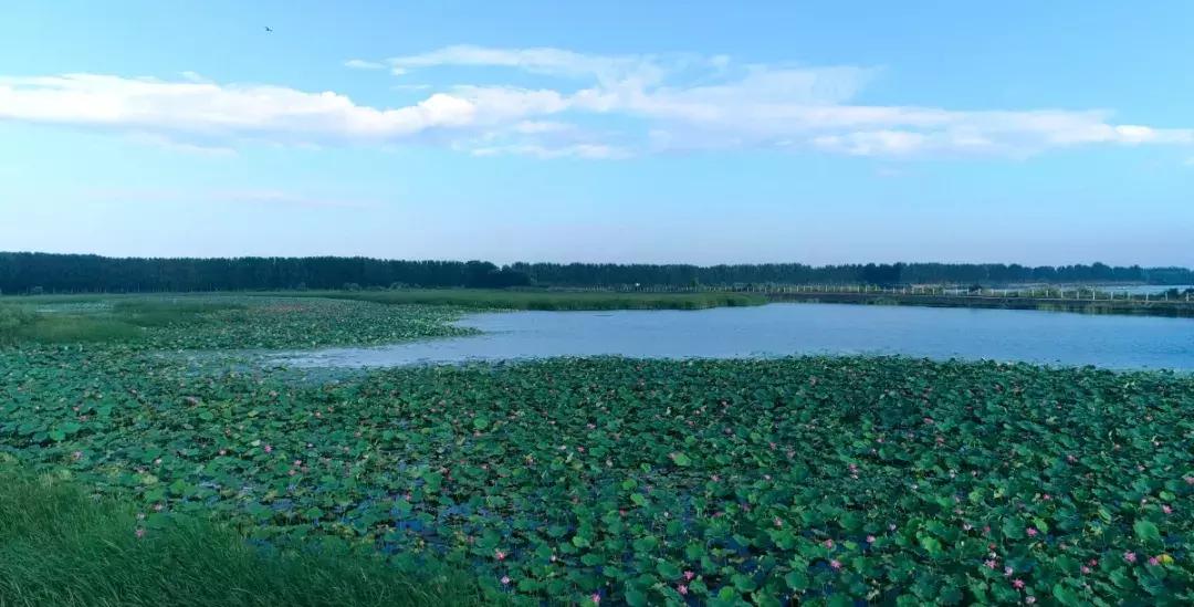 鄒城市太平鎮(zhèn)最新規(guī)劃，塑造未來城鎮(zhèn)新典范