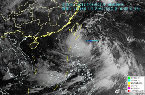 天鴿臺(tái)風(fēng)最新消息視頻，實(shí)時(shí)更新與深度解析