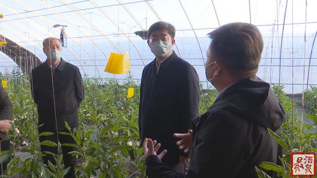 玉門(mén)艾郎風(fēng)電最新招聘啟事