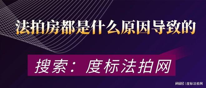 探索最新3D開機(jī)號(hào)，連續(xù)十期的深度解析