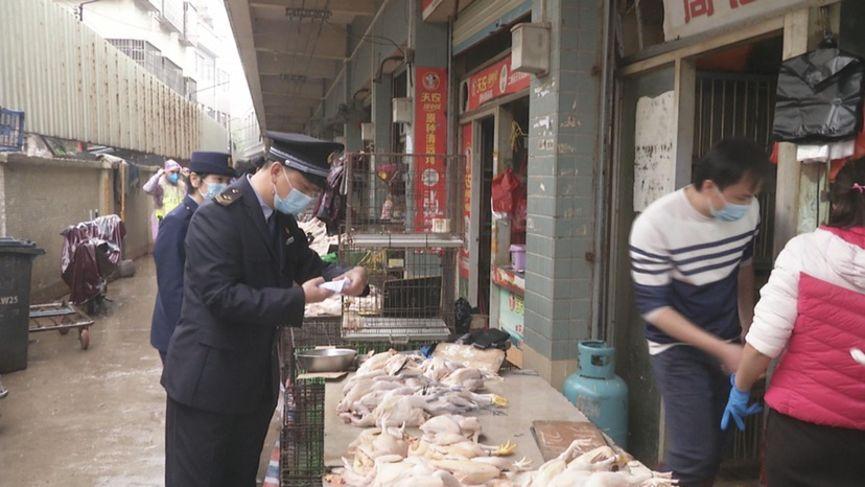廣州活禽市場最新消息，動態(tài)與趨勢分析