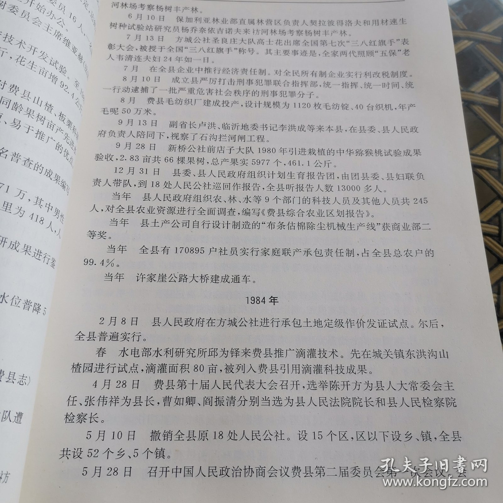 費(fèi)縣龍之媒最新電子版探析