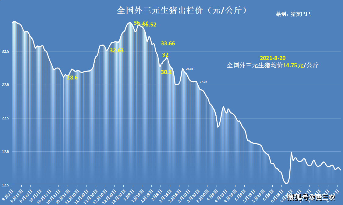 甘肅豬價(jià)今日最新消息，市場動(dòng)態(tài)與未來展望